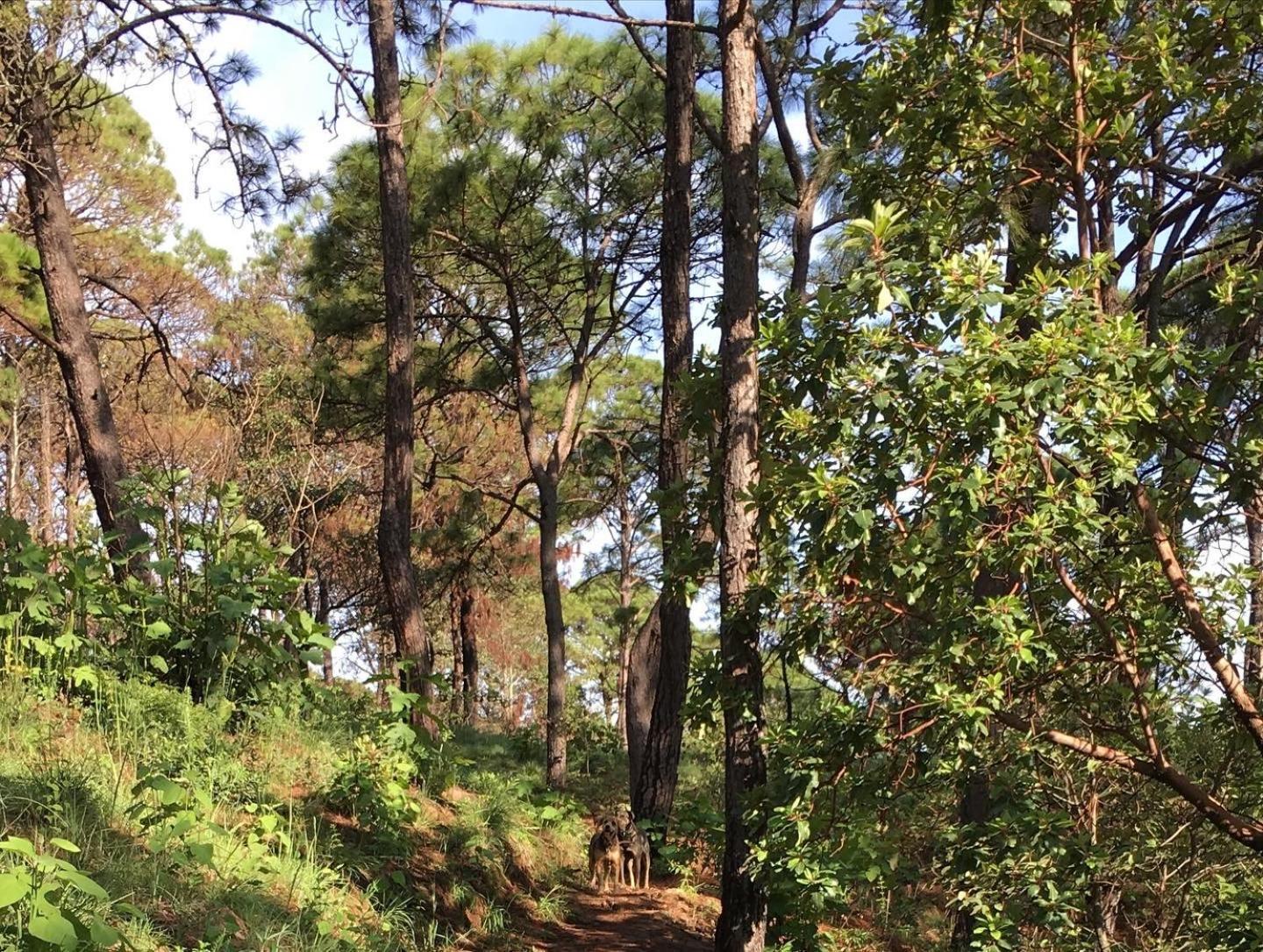 Mi Casa De Valle Valle de Bravo Exteriör bild